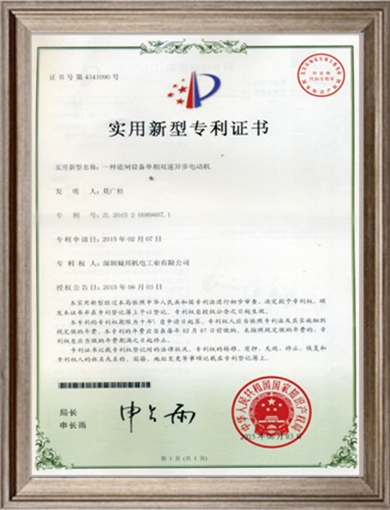 Patent